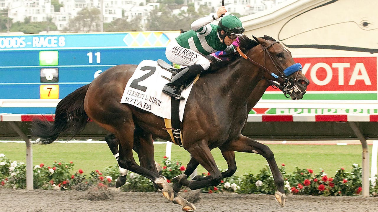 Getting to know Iotapa, winner of the Clement L. Hirsch Handicap